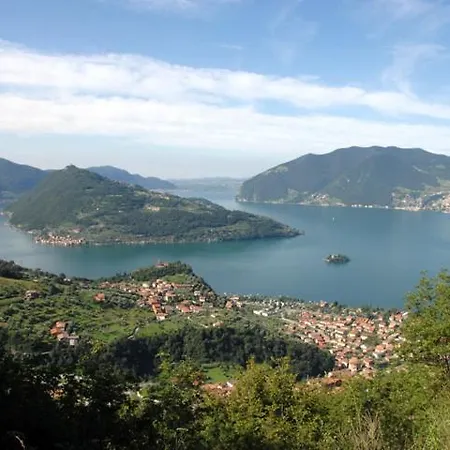 I Quattro Ulivi *
